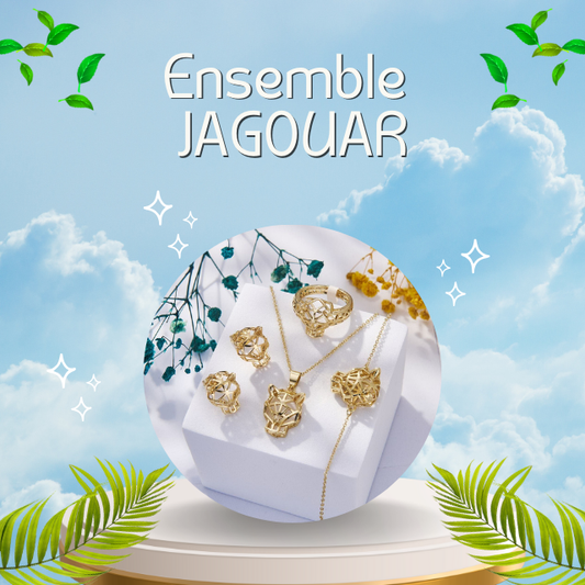 Ensemble JAGOUAR